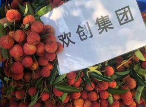 夏日好“枝”味，万搏集团官网万搏集团官网万搏集团官网万搏集团官网首页-万搏(中国)
集团发福“荔”啦